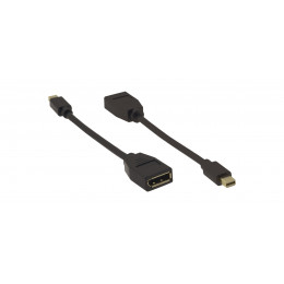 Câble adaptateur mini DisplayPort vers DVI, HDMI ou VGA - Eizo